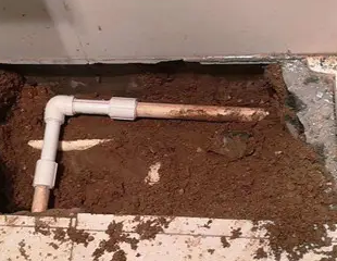 崇左市测漏水哪家好