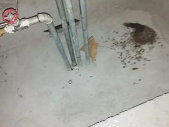 崇左市卫生间测漏水价格明细