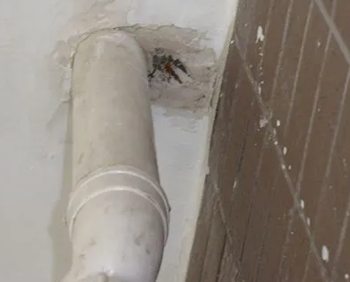 崇左市漏水检测哪家好